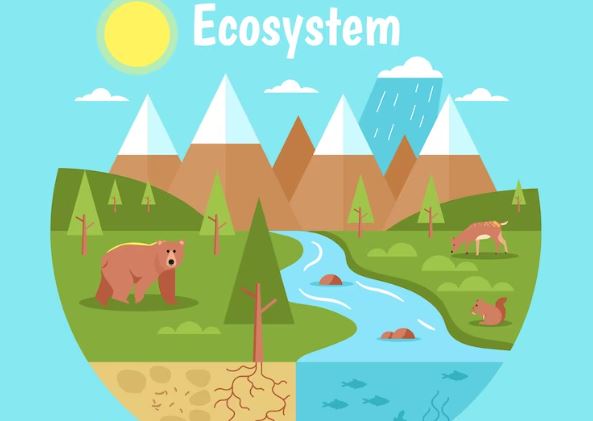 What are microecosystems and macroecosystems?
