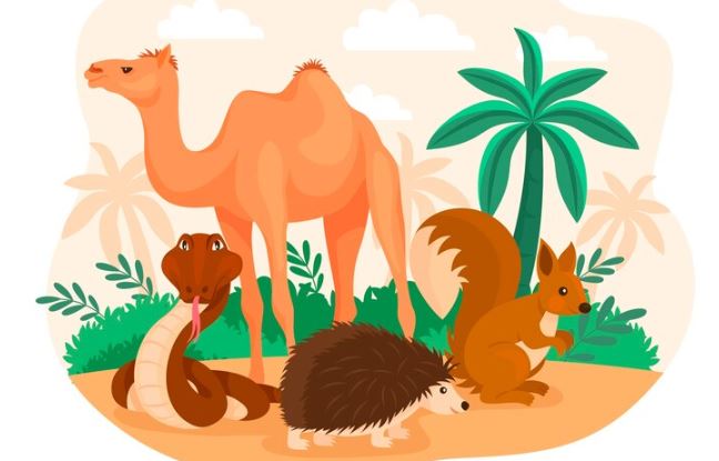 What is a terrestrial animal? - Discover all its features