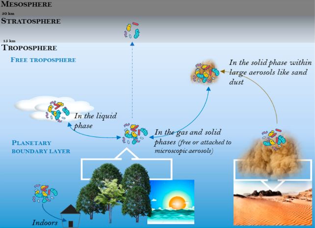 What is airborne? - Glossary of biological terms