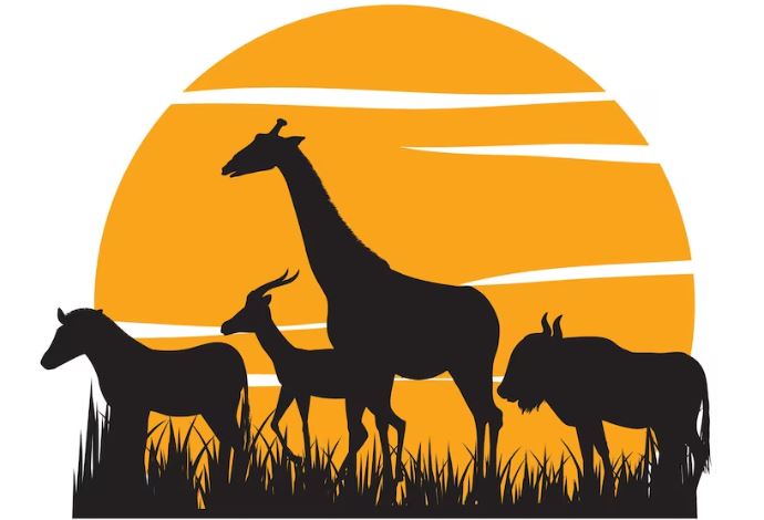 What is diurnal? - Learn how animal schedules work