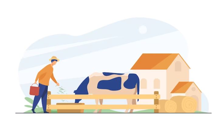 What is livestock farming and how is it classified? - Know everything about livestock use