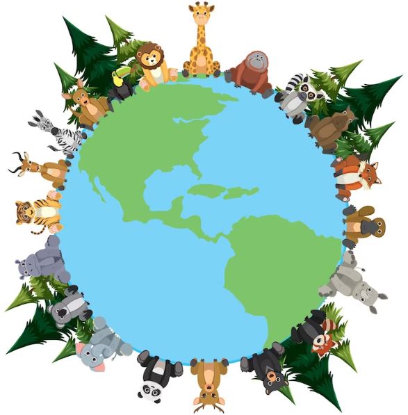 What is the Animal Kingdom? - Know the classification of living beings